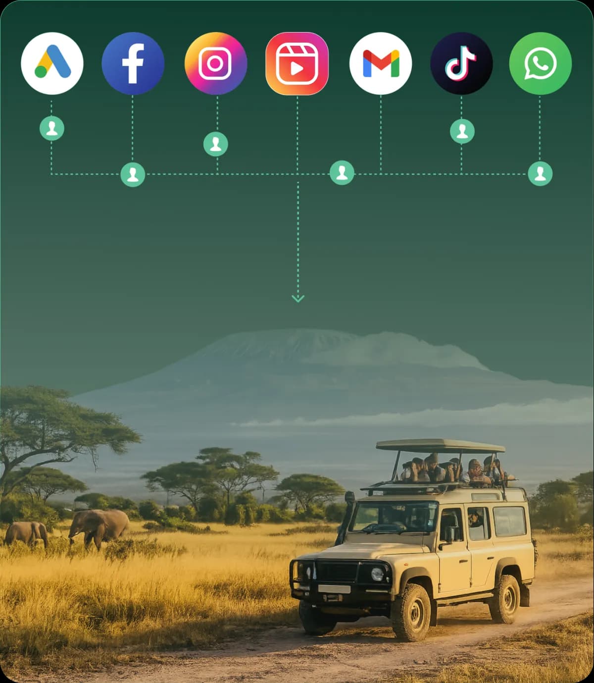 Digital advertising channels connecting international travelers to a Tanzania safari